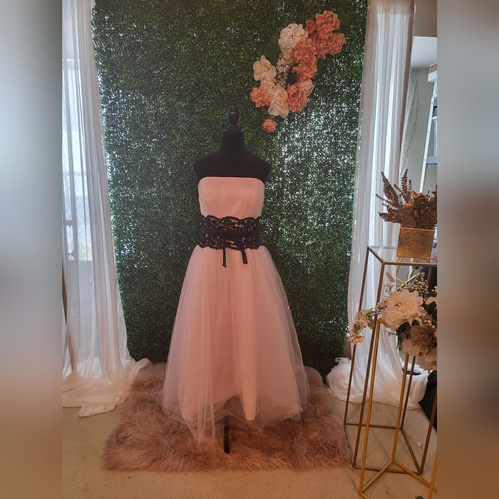 Gorgeous Wedding Gown pink with black Detail Bodice